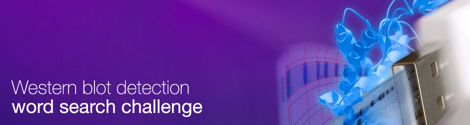 Western blot detection word search challenge