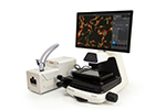 Invitrogen EVOS Cell Imaging Systems
