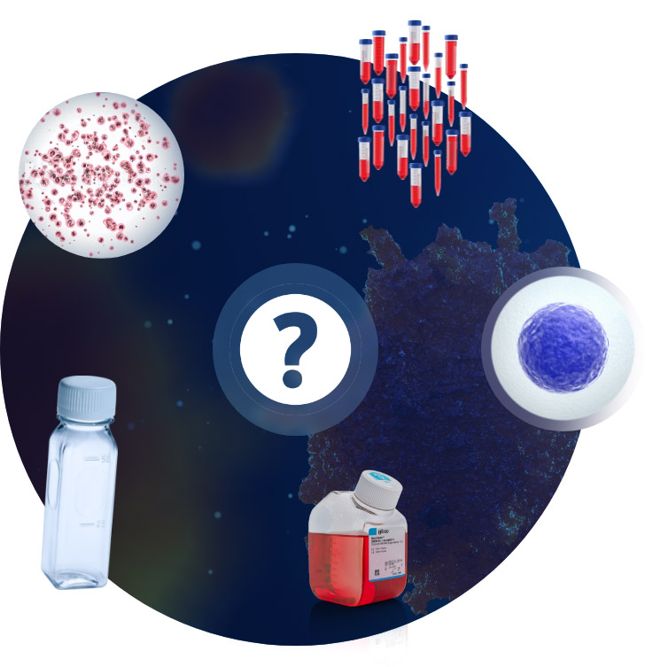 GibCo Quiz Iconography